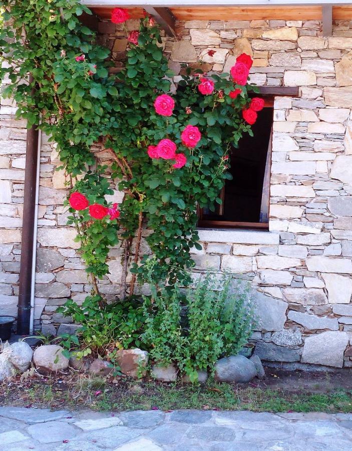 Casa Cicala Villa Trarego Buitenkant foto